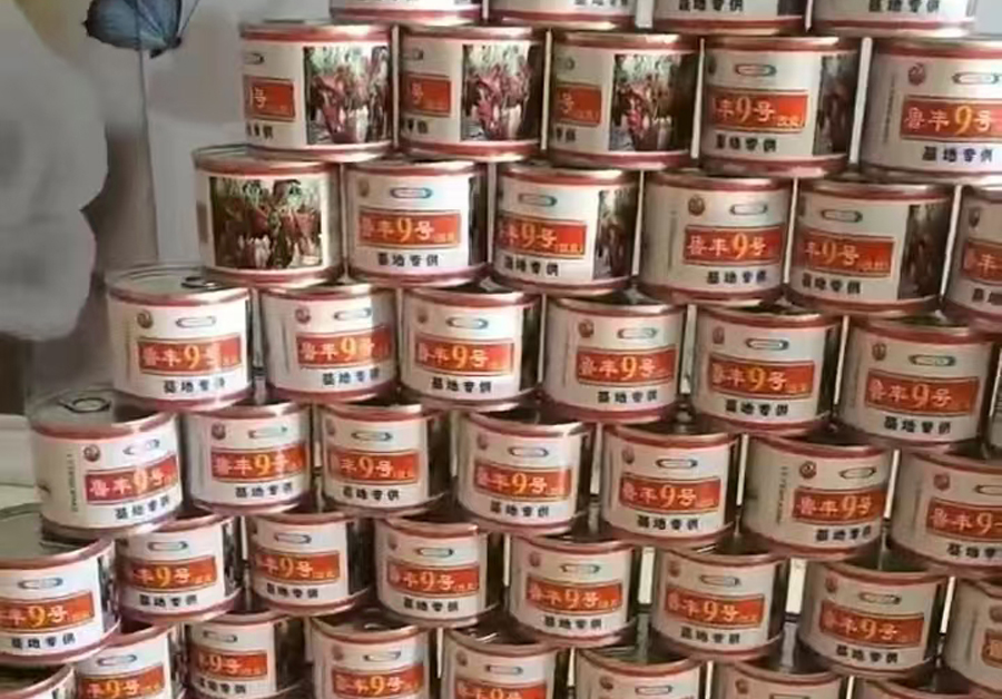 4.jpg